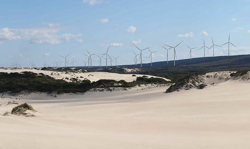 temasek-rot-3-ty-usd-vao-cac-doanh-nghiep-ben-vung