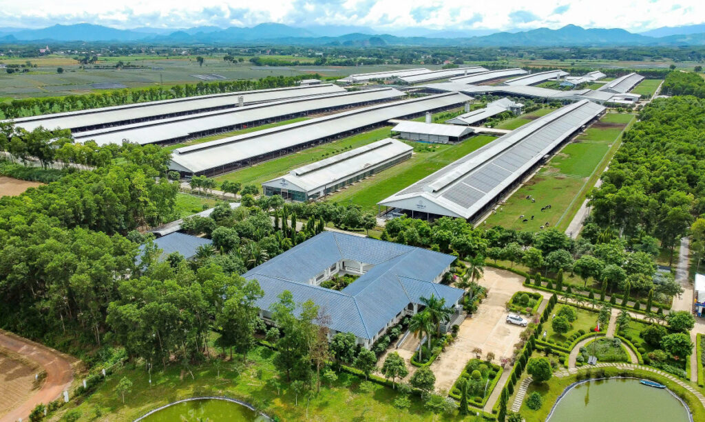 brand-finance:-vinamilk-la-thuong-hieu-sua-tiem-nang-nhat-the-gioi